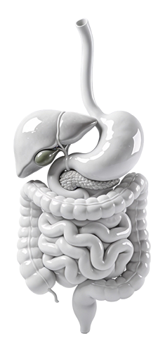 Dr. med. Bora Akoglu – Facharzt für Gastroenterologie Frankfurt